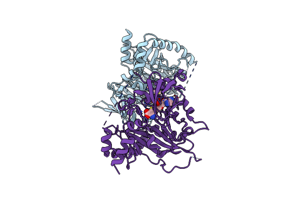 7CV7 image