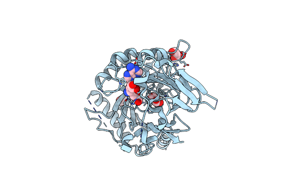 7CV8 image