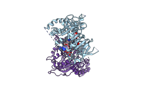 7CV9 image