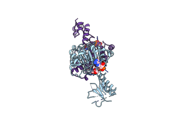 7CVP image