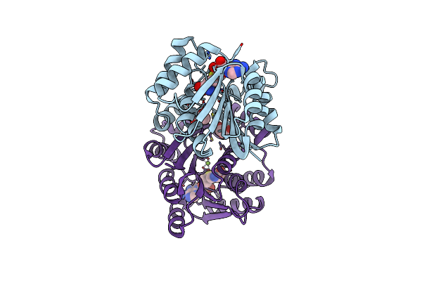 7CVW image