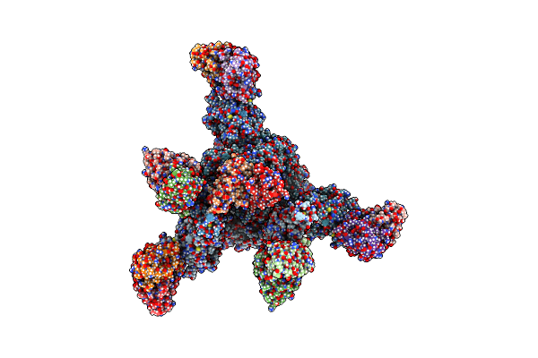 7CWT image