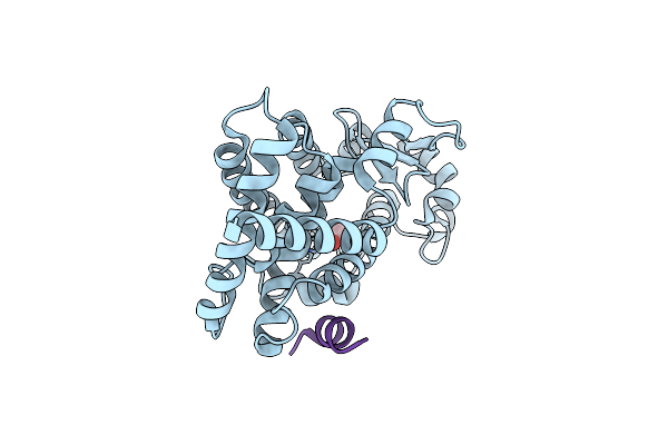 7CXF image