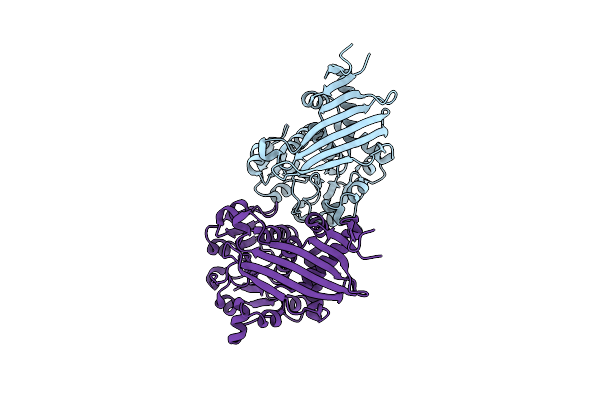 7CXS image