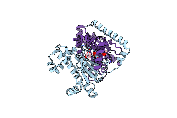 7CXX image