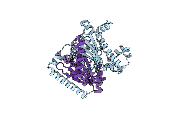 7CXY image