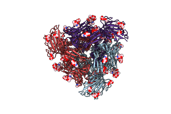 7CYC image