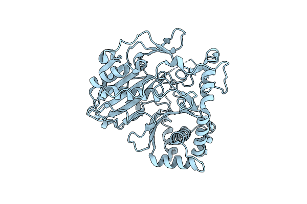 7CYS image