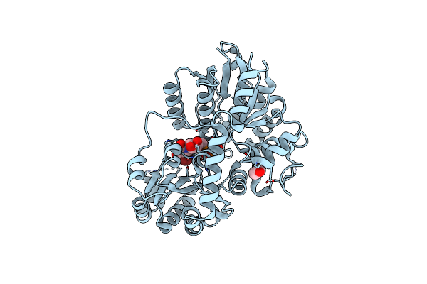 7CYW image