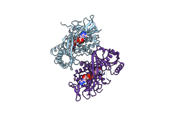 7CYX image