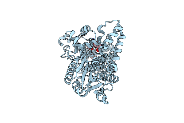 7D0M image