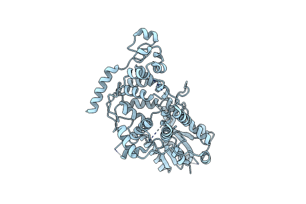 7D0N image