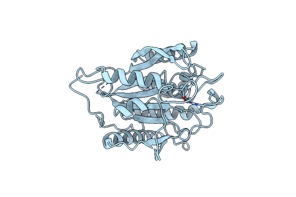 7D17 image