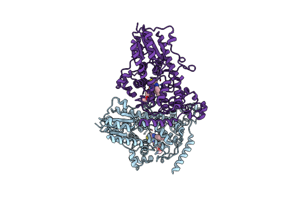 7D19 image