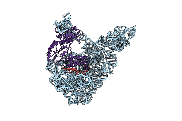 7D1A image