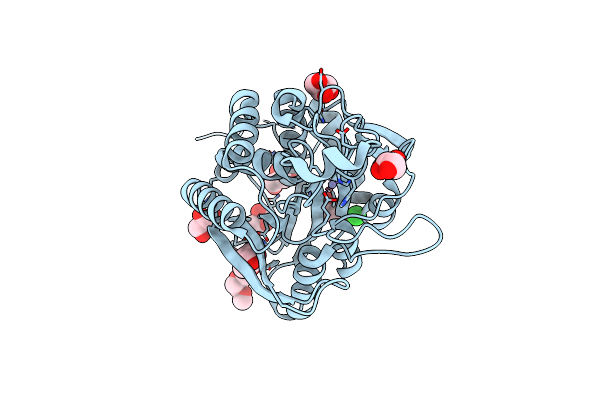 7D1B image