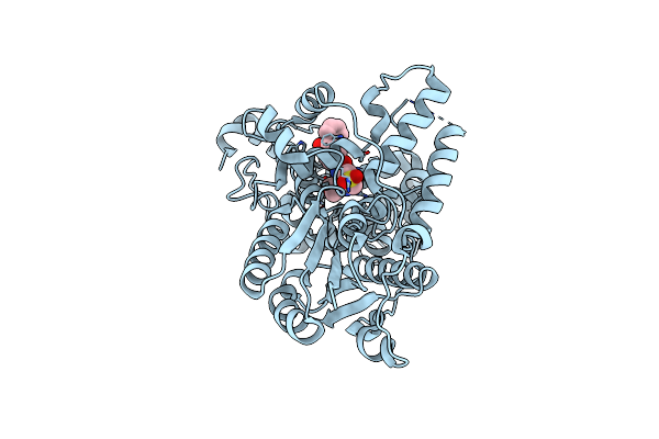 7D1C image