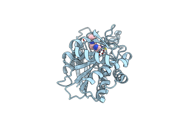 7D1E image