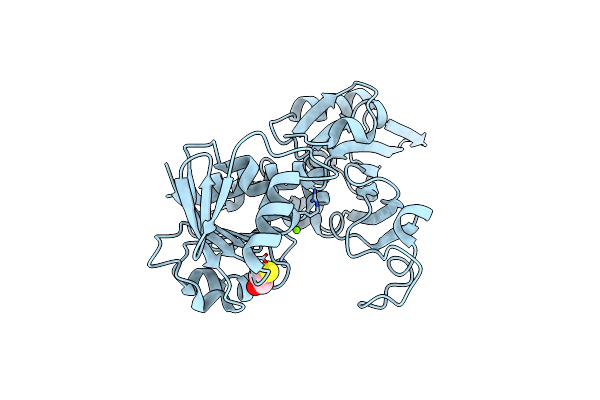 7D1G image
