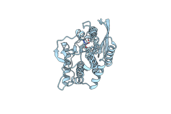 7D1H image