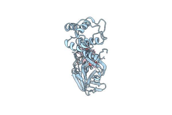 7D1O image