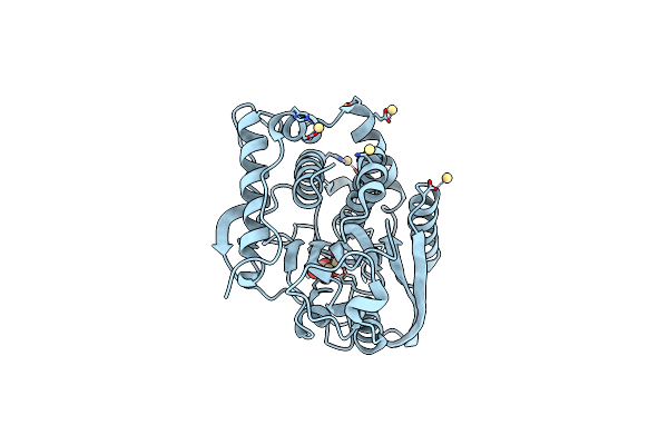 7D1P image