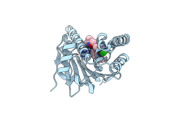 7D1V image