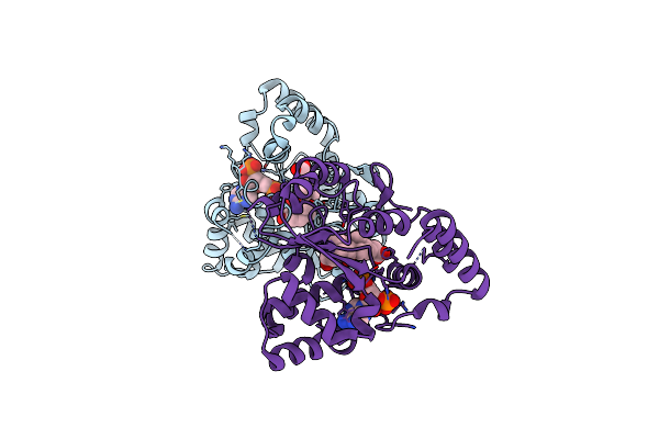 7D1X image