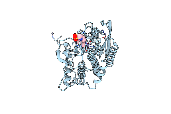 7D21 image
