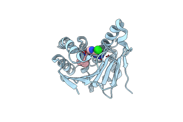 7D22 image