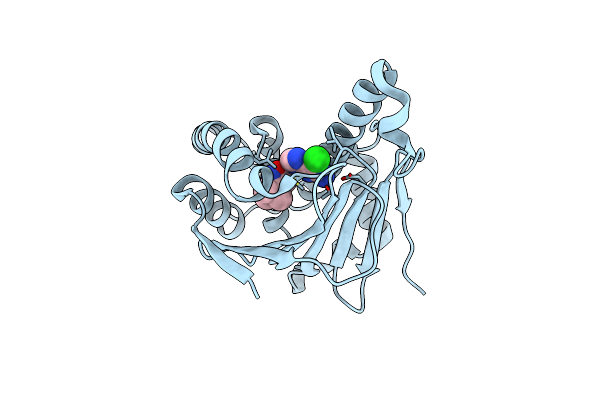 7D24 image