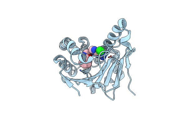 7D26 image