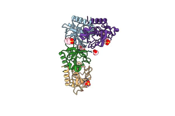 7D28 image