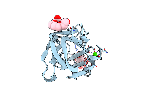 7D2A image