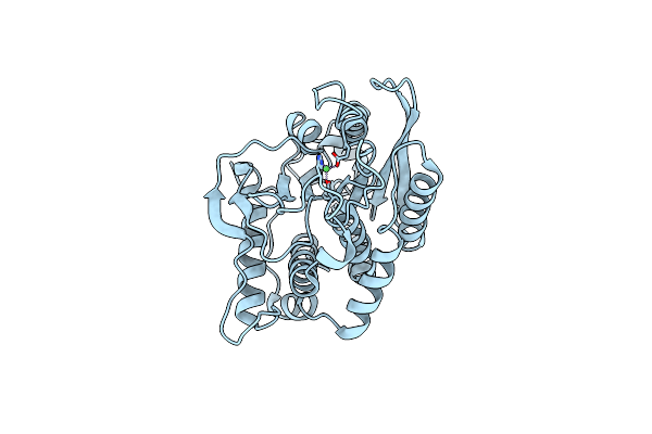 7D2B image