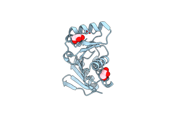 7D2C image
