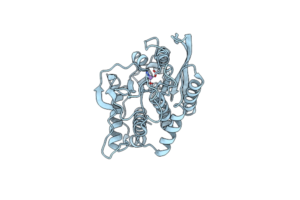 7D2D image