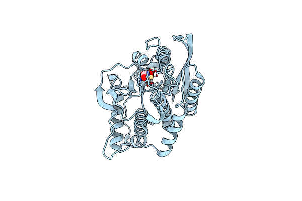 7D2J image