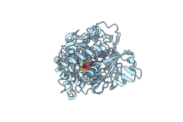 7D2R image