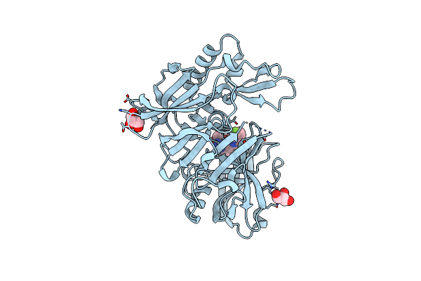 7D2V image