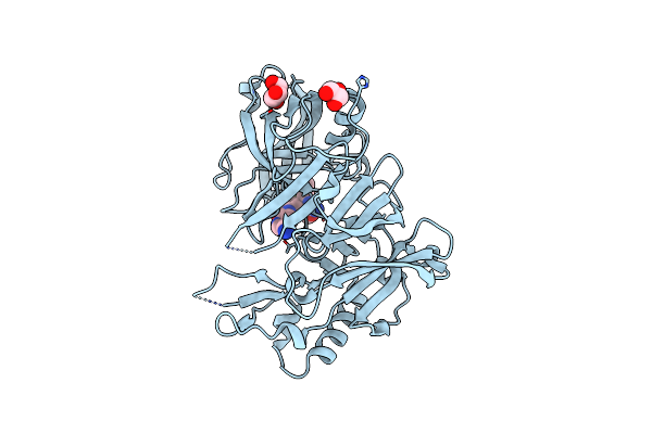 7D2X image