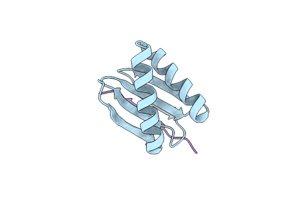 7D35 image
