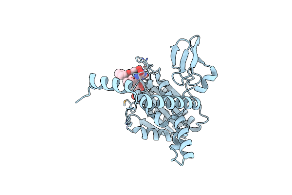 7D38 image