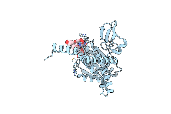 7D3B image