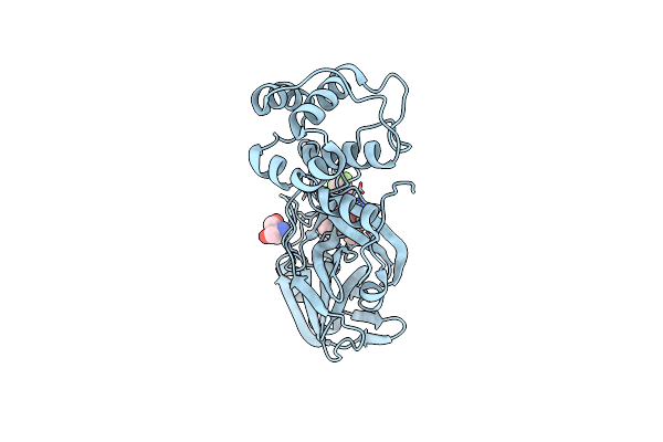 7D3I image