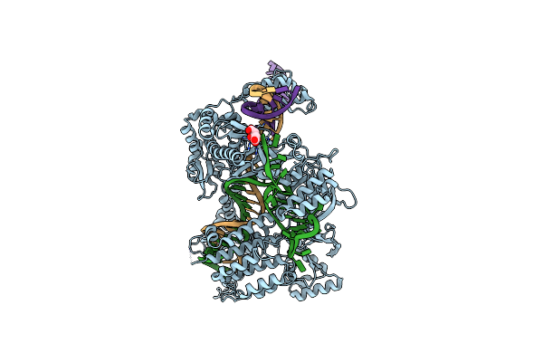 7D3J image