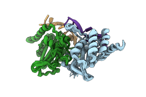 7D3V image