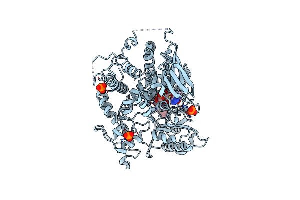 7D4C image