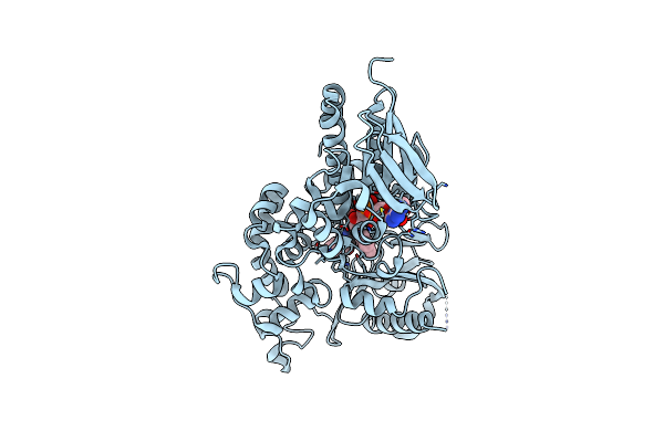 7D4D image