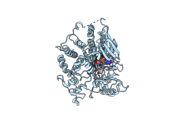 7D4E image